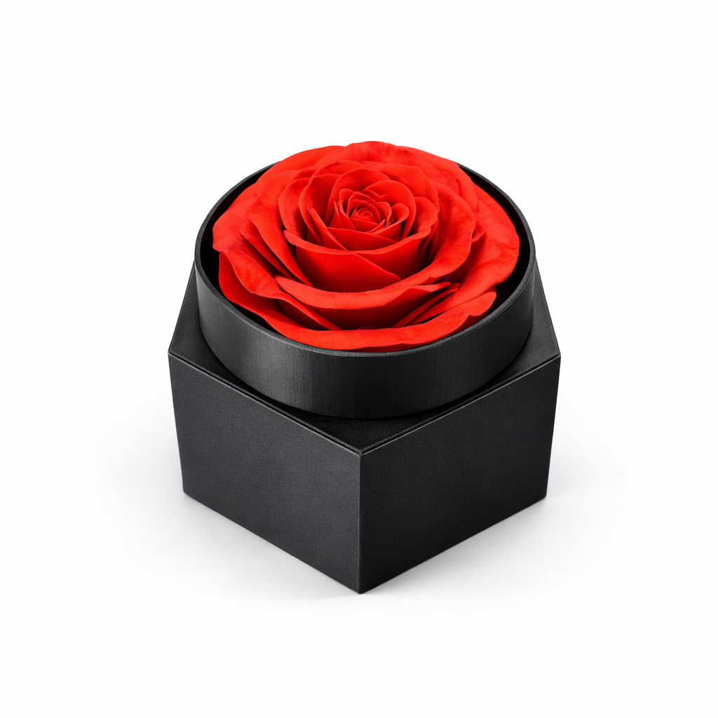 Rosa eterna-Base negra